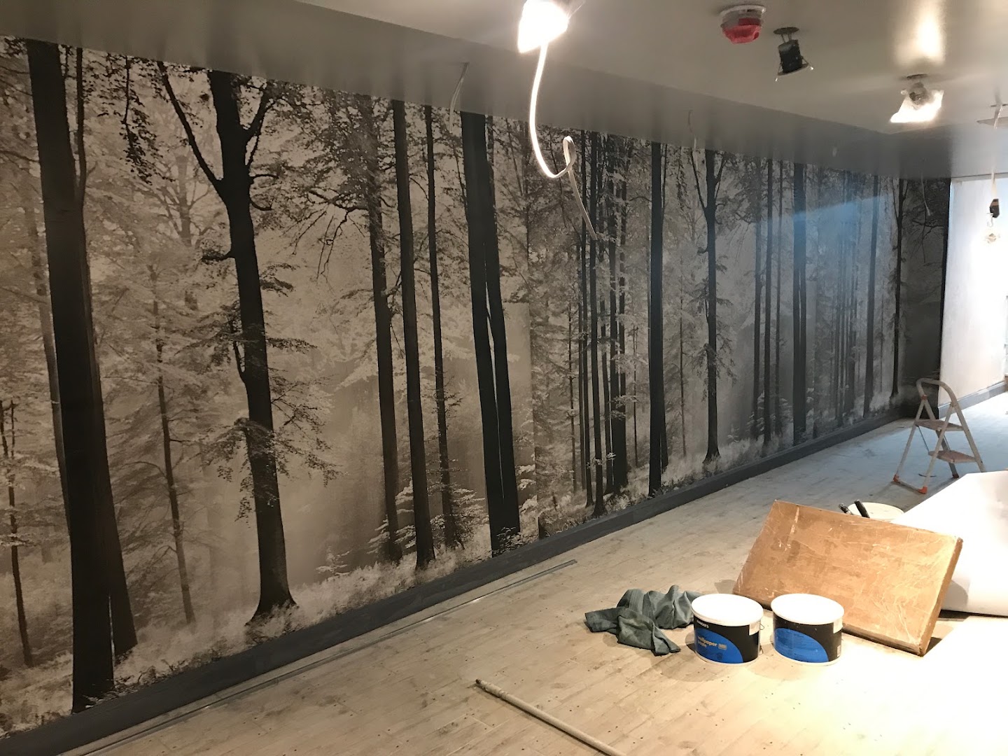 Ali painters & Decorators ltd — Photos 4
