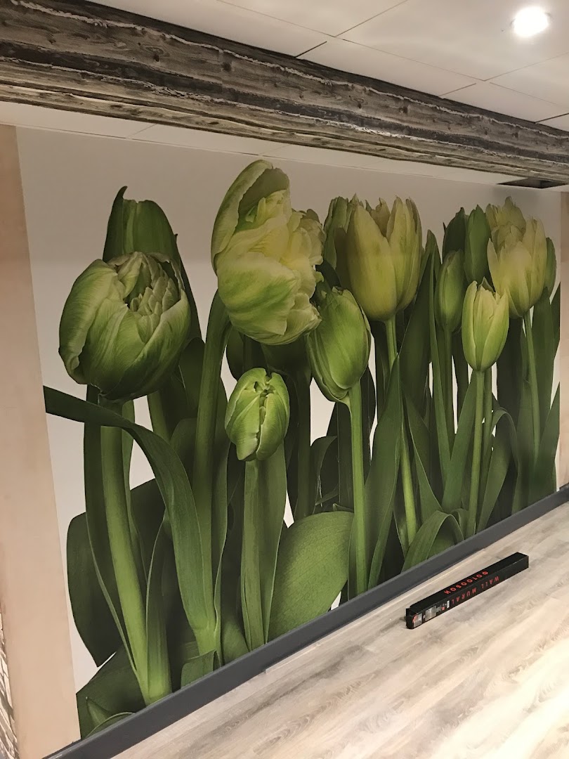 Ali painters & Decorators ltd — Photos 1